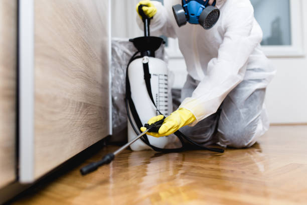 Best Pest Removal Services  in Dunkirk, NY