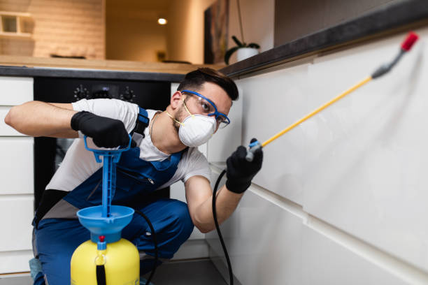 Reliable Dunkirk, NY Pest Control Solutions