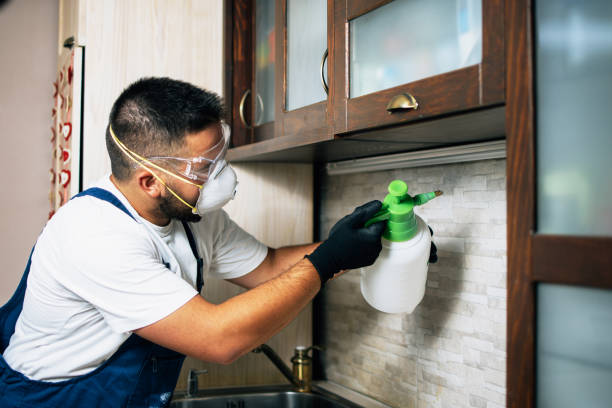 Best Emergency Pest Control  in Dunkirk, NY