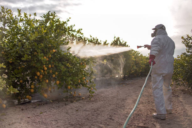 Best Ant Control Services  in Dunkirk, NY