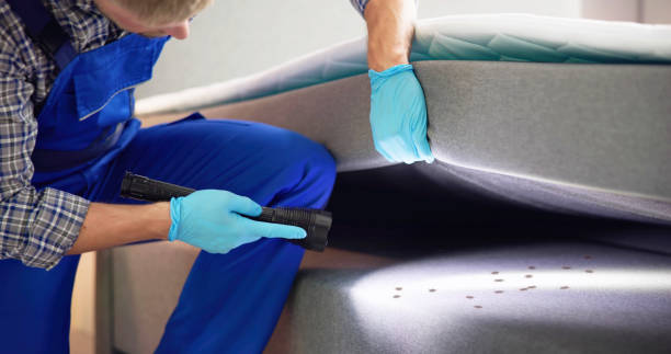 Best Residential Pest Control  in Dunkirk, NY