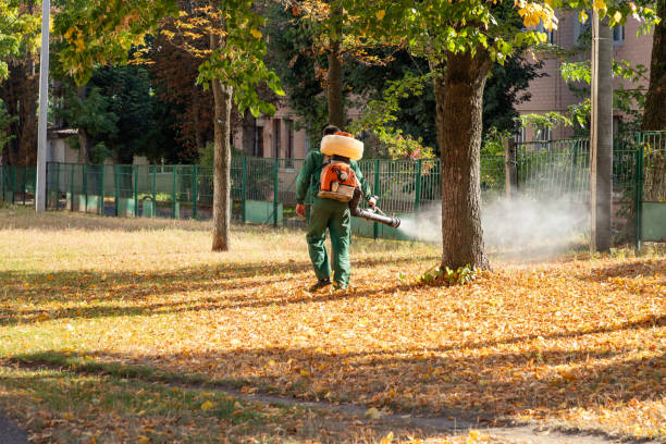 Best Rat Extermination Near Me  in Dunkirk, NY