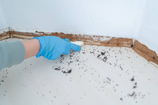 Best Exterminator Services  in Dunkirk, NY