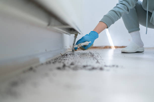 Best Best Pest Control Companies  in Dunkirk, NY
