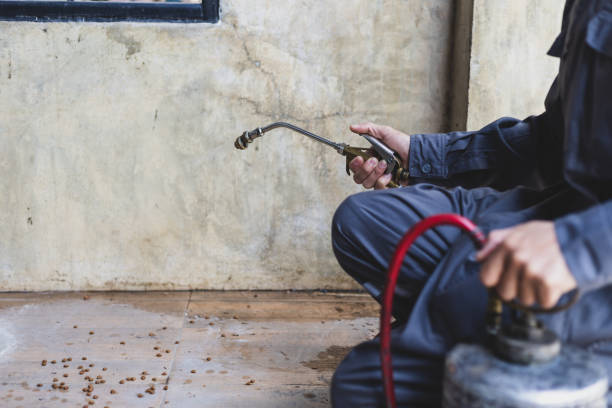 Best Pest Prevention Services  in Dunkirk, NY