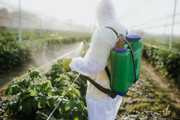 Best Affordable Pest Control Services  in Dunkirk, NY